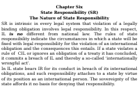 Presentation1 state responsibility last.pptx